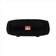 Parlante Portable Ledstar Slim